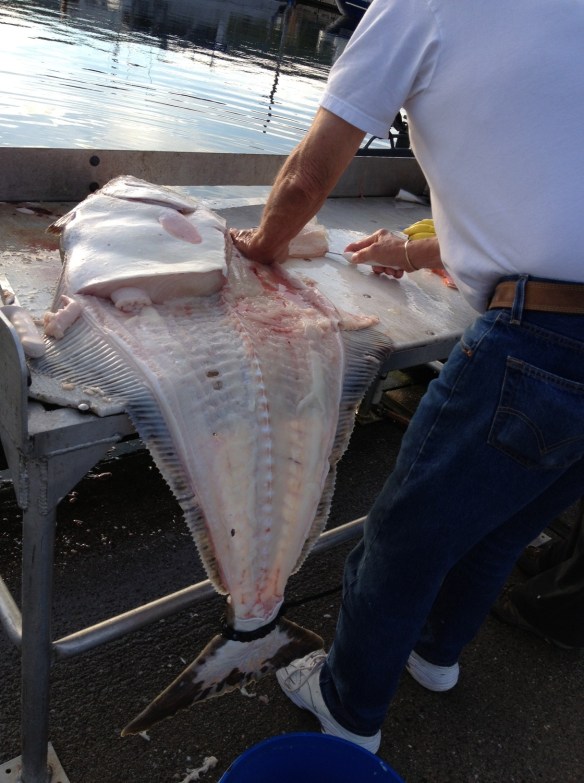 Master fish filleter 