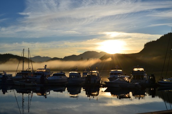 Morning fog over Blind Bay Marina