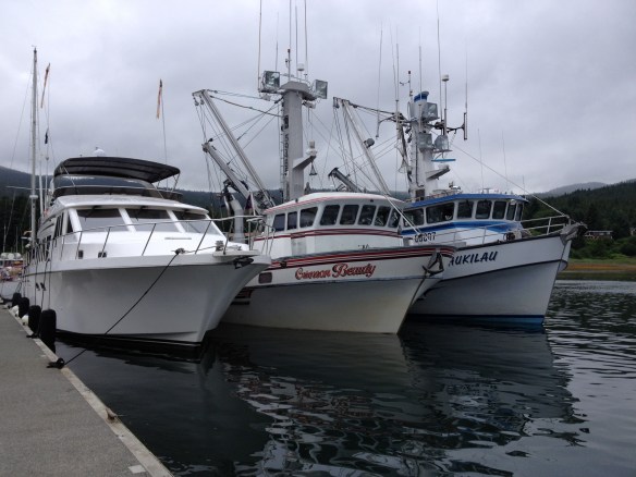 Surprise!  We have neighbors!